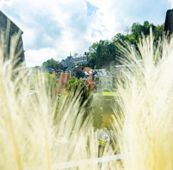 Le Comble Amoureux La-Roche-en-Ardenne Eksteriør bilde